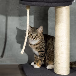 PawHut Floor-To-Ceiling Cat Tree, Height Adjustable, Black - Additional view 7