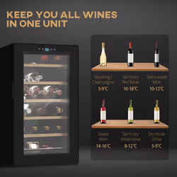 24 Bottles Wine Fridge with Glass Door Digital Touch Screen Control LED Light