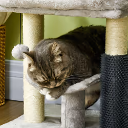 PawHut Small Cat Tree Tower w/ Scratching Posts, Bed, Perch, Self Groomer, Toy - Additional view 6
