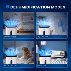 HOMCOM 20L/Day Quiet Air Dehumidifier with Purifier, Timer, for Home Laundry