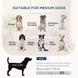 PawHut Dog Sofa Bed with Legs, Water-Resistant Fabric for Medium Dogs - Grey