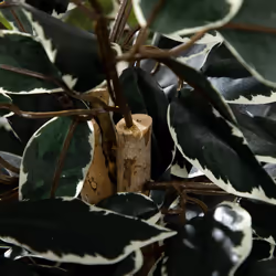 HOMCOM Artificial Ficus Tree with Lifelike Leaves and Natural Trunks Green - Additional view 4