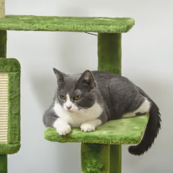 PawHut 142cm Cat Tree Tower w/ Scratching Post, Hammock, Ball, Platforms, Green - Additional view 6