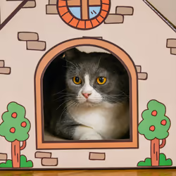 PawHut Cardboard Cat House, Recyclable Corrugate Scratcher for Indoor Cats - Additional view 7