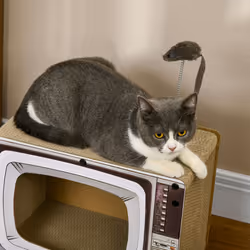 PawHut TV-Shaped Cardboard Cat House with Scratcher, Catnip, Toy Rat - Additional view 6