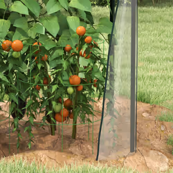 Outsunny Tomato Greenhouse with 2 Zipped Doors, Outdoor Green House, Clear - Additional view 7