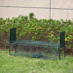 PawHut Two-Door Live Cage, Trap for Small Animal, Easy Setup - Dark Green
