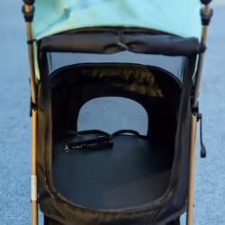 PawHut Pet Stroller for XS and S Dogs w/ Rain Cover - Green