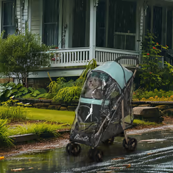 PawHut Pet Stroller for XS and S Dogs w/ Rain Cover - Green