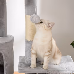 PawHut 240-260cm Floor to Ceiling Cat Tree with Scratching Posts - Light Grey - Additional view 6