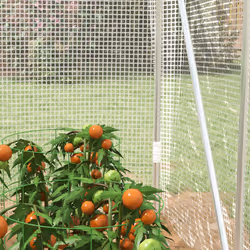 Outsunny 3 x 2 x 2m Polytunnel Greenhouse with Door, Galvanised Steel Frame - Additional view 7