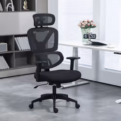 Vinsetto Mesh Office Chair Swivel Desk Chair with Adjustable Height, Black