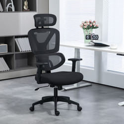Vinsetto Mesh Office Chair Swivel Desk Chair with Adjustable Height, Black
