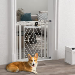 Pressure Fit Safety Gate w/ Auto Closing Door, Double Locking, Openings 74-80cm