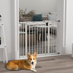 Pressure Fit Safety Gate w/ Auto Closing Door, for Small Medium Dogs, 74-100cm