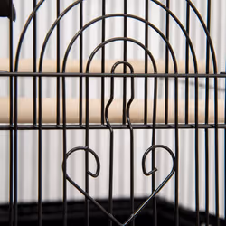 PawHut Metal Bird Cage w/ Perch, Food Container, Handle, for Finch, Canary - Additional view 7
