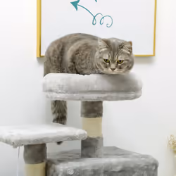 PawHut 132cm Multi-Activity Cat Tree w/ House, Bed, Ladder, Scratch Post - Grey - Additional view 5