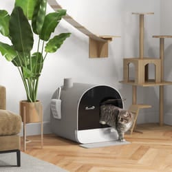 PawHut Cat Litter Box Kitten Litter Tray w/ Lid, Scoop, Filter, Flap Door, Grey
