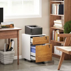 HOMCOM 2 Drawer Filing Cabinet with Adjustable Hanging Bars for A4 and Letter