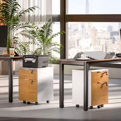 HOMCOM 2 Drawer Filing Cabinet with Adjustable Hanging Bars for A4 and Letter - Additional view 8