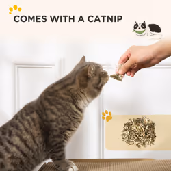 PawHut TV Shape Cat Scratching Board with Catnip, for Indoor Cats, Brown - Additional view 5