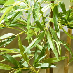 Artificial Plant Bamboo Artificial Tree Height 120 cm with Pot - Additional view 5