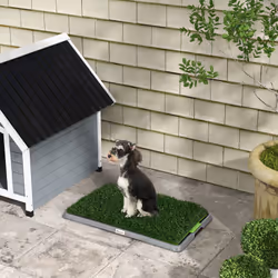 PawHut Dog Toilet with 2 Packs Artificial Grass Pads, 67 x 41cm, Green