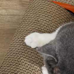 PawHut 2 in 1 Cat Scratching Board with Catnip, Car-shaped Cat Scratch Bed - Additional view 5