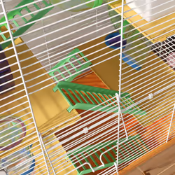 Pawhut 5 Tier Hamster Cage Carrier Habitat w/ Exercise Wheels, Orange - Additional view 8