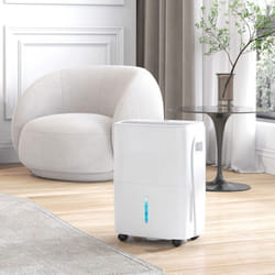 HOMCOM 30L/Day Dehumidifier for Home, with Auto-Clean Filter, 24H Timer