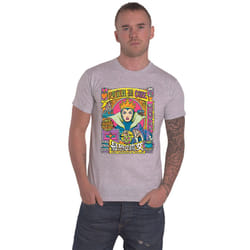 Snow White Evil Queen Rotten To The Core T Shirt - L, Grey