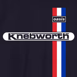 Oasis Knebworth Vertical Stripe T Shirt - M, Navy