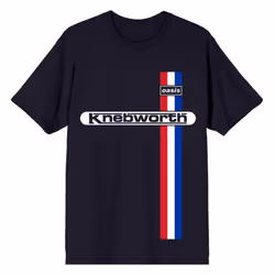 Oasis Knebworth Vertical Stripe T Shirt - L, Navy