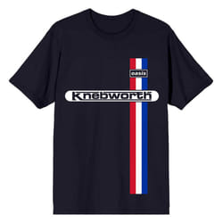 Oasis Knebworth Vertical Stripe T Shirt - L, Navy