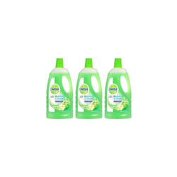 Dettol Power and Fresh Multi Purpose Cleaner, Refreshing Green Apple, 1L (Pack of 3)