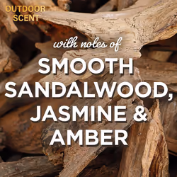 Glade Automatic Spray Starter Kit & Refill Sandalwood & Jasmine 269 ml (Pack of 3)
