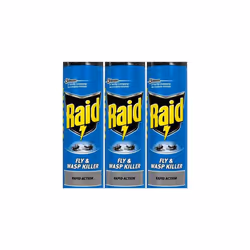 Raid Fly and Wasp Killer 300 ml (Pack of 3)