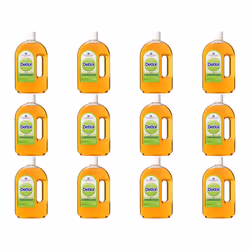 Dettol Antiseptic Disinfectant Liquid 750ml (Pack of 12)