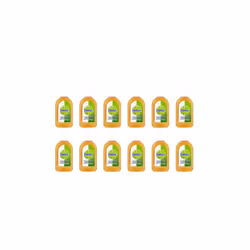 Dettol Original Antiseptic Disinfectant Liquid (250ml) (Pack of 12)