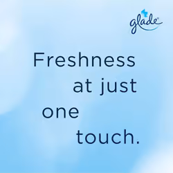Glade Touch & Fresh Refill Relaxing Zen Air Freshener, 10ml (Pack of 12)
