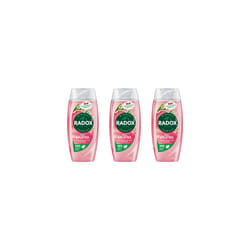 Radox Feel Uplifted Shower Gel 250ml (Pack of 3)