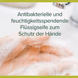 Palmolive Hygiene Plus Fresh Liquid Handwash with Eucalyptus, 300 ml (Pack of 6)