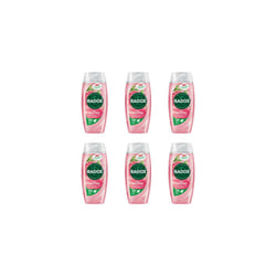 Radox Feel Uplifted Shower Gel 250ml (Pack of 6)