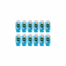 Radox Feel Active Shower Gel 225ml (Pack of 12)
