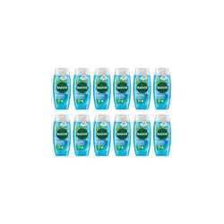 Radox Feel Active Shower Gel 225ml (Pack of 12)