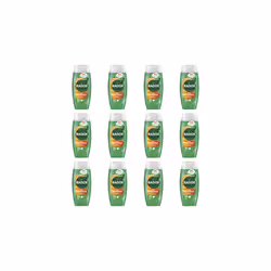 Radox Feel Refreshed 2in1 Shower Gel, 225ml (Pack of 12)