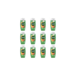 Radox Feel Refreshed 2in1 Shower Gel, 225ml (Pack of 12)