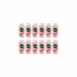 Radox Feel Uplifted Shower Gel 250ml (Pack of 12)