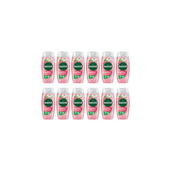 Radox Feel Uplifted Shower Gel 250ml (Pack of 12)
