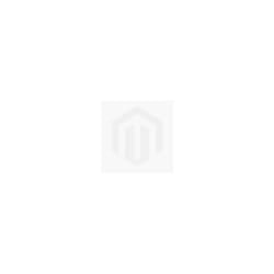 AIRPURE  FRESH TOILET FOAM BERRY 500 ML